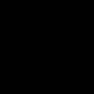 Meet your Posher, Lulu